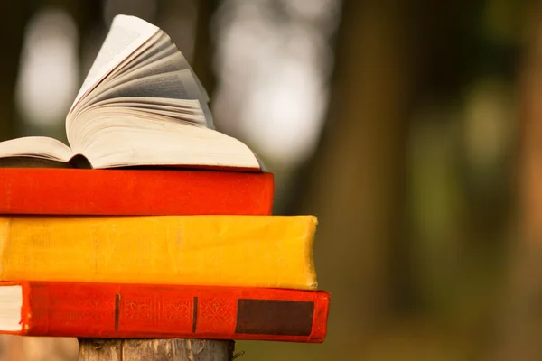 Stack of book et Open hardback book sur fond de paysage naturel flou. Copier l'espace, retourner à l'école. Formation initiale . — Photo