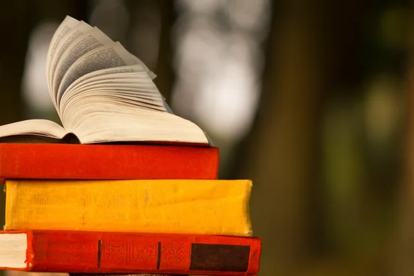 Stapel von Büchern und gebundene Bücher über verschwommene Naturlandschaften. Kopierraum, zurück zur Schule. Hintergrund der Ausbildung. — Stockfoto