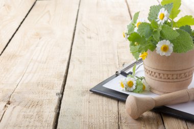 Fresh herb and medical clipboard on wooden table. Alternative medicine concept.