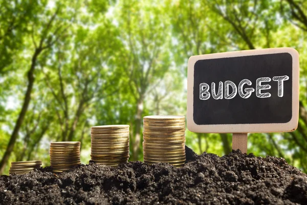 Tempo é dinheiro conceito de oportunidade financeira. Moedas de ouro no solo Chalkboard com palavra Orçamento em fundo urbano desfocado . — Fotografia de Stock