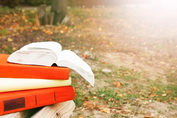 Stack di libri e libro aperto hardback su sfondo paesaggio natura offuscata. Ricevuto, torniamo a scuola. Contesto dell'istruzione . — Foto Stock