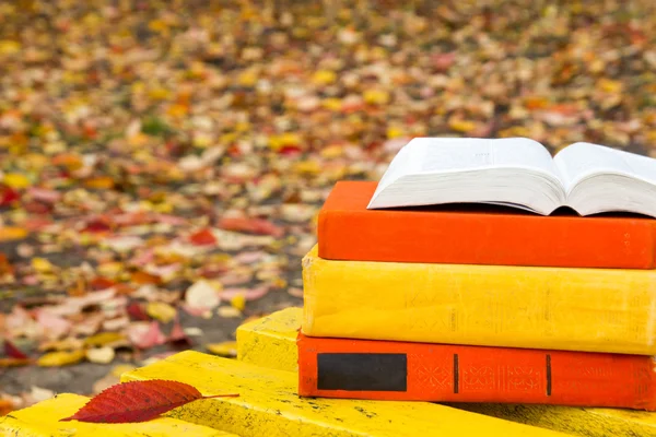 Stack of hardback book lying on a bench at sunset park  blurred nature backdrop. — Stock Photo, Image