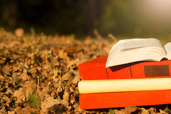Stack of books and Open hardback book on blurred nature landscape backdrop. Copy space, back to school. Education background.
