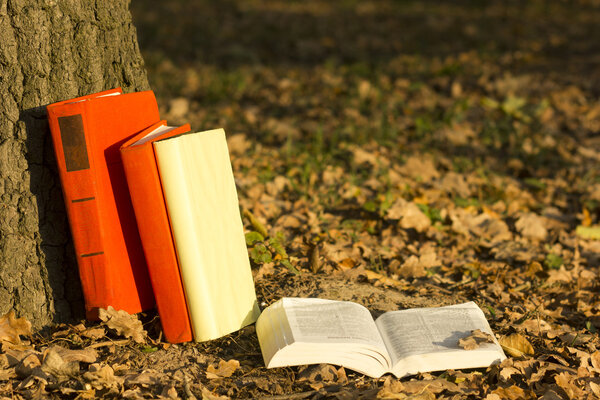 Stack of books and Open hardback book on blurred nature landscape backdrop. Copy space, back to school. Education background.