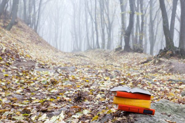 Stack of hardback book lying on a bench at sunset park  blurred nature backdrop.