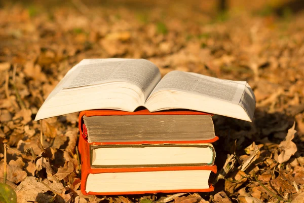 Empilement de livres et livre à dos rigide ouvert sur fond de paysage naturel flou. Copier l'espace, retourner à l'école. Formation initiale . — Photo