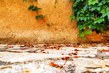 Taş zemin ve duvar arkası. Sokak zemininin yakın görüntüsü. Parke zemin ve şehrin beton duvarı.