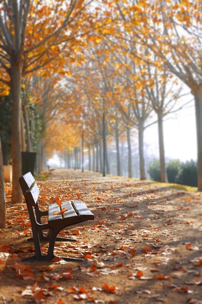 Park bench — Stock Photo, Image