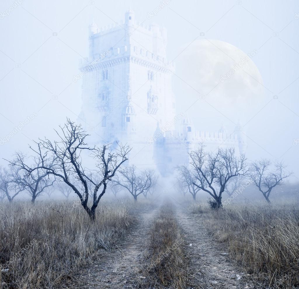 Mysterious foggy landscape