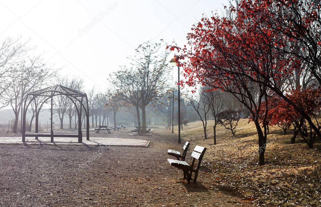 Park scene in Autumn season