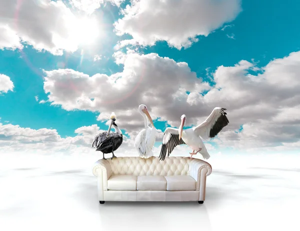 Sofa-Traumlandschaft — Stockfoto