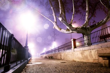 Gece sokak cityscape
