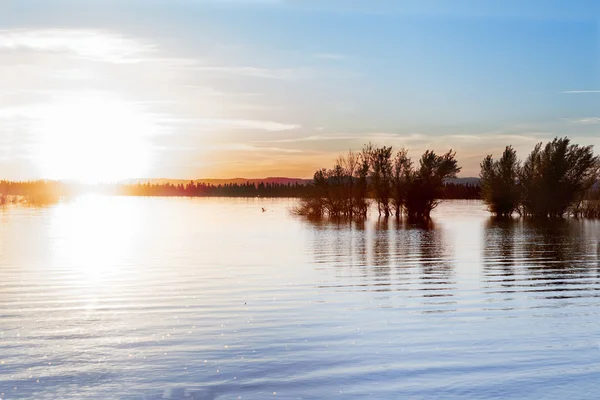 Lake and sunset — Stock Photo, Image