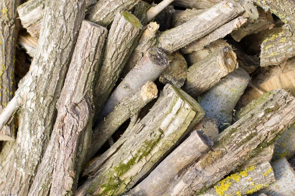 Pile of chopped firewood — Stock Photo, Image
