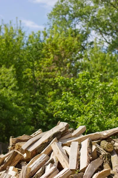 Pile of chopped firewood — Stock Photo, Image