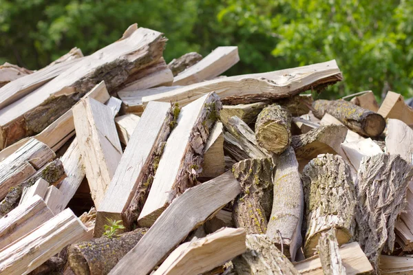 Pile of chopped firewood — Stock Photo, Image