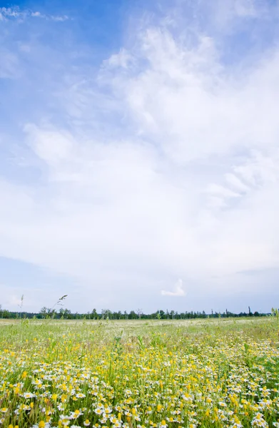 Soliga landskap — Stockfoto