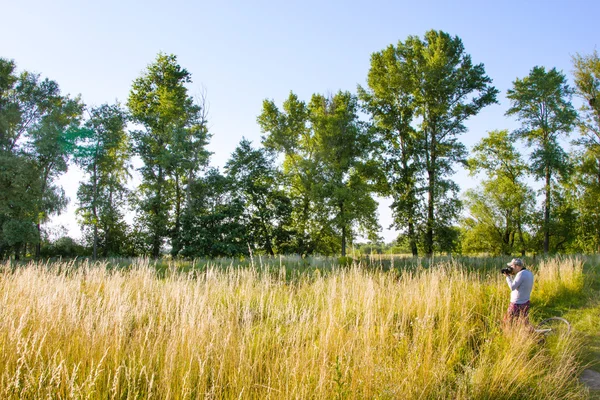 Sunny krajina — Stock fotografie