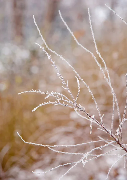 Modo invernale — Foto Stock