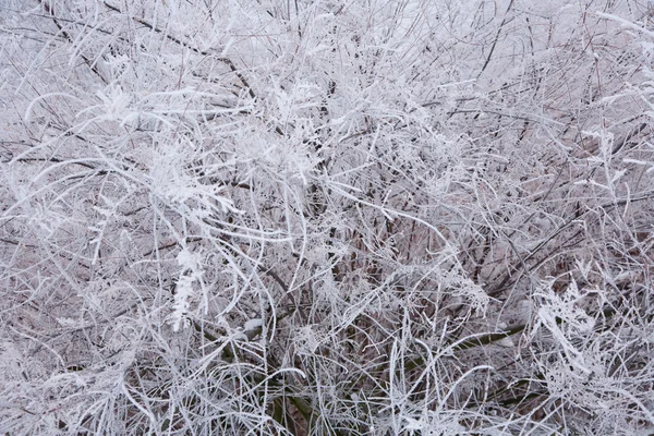 Nastrój zimowy — Zdjęcie stockowe