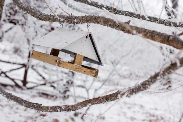 Modo invernale — Foto Stock