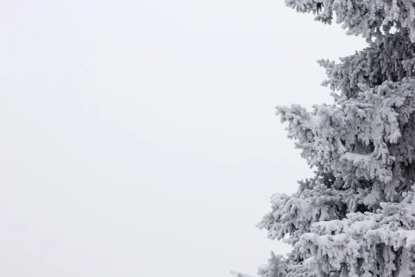 Vintern humör — Stockfoto