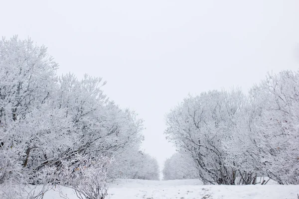 Winterstimmung — Stockfoto