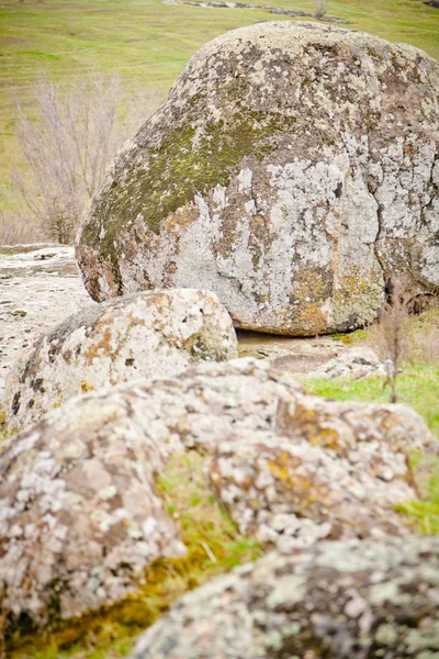 Early spring — Stock Photo, Image