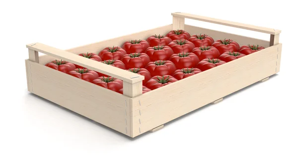 Tomaatti laatikoissa — kuvapankkivalokuva