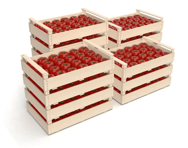 Tomaten in Kisten — Stockfoto