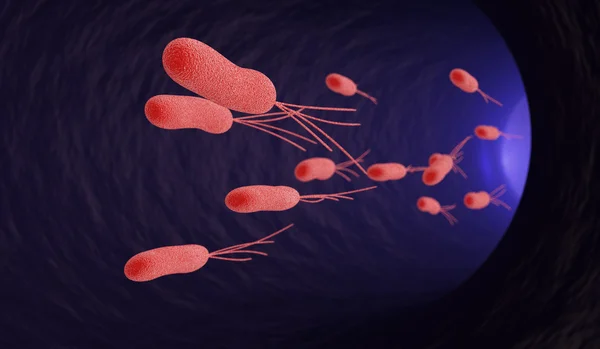 Under mikroskopet, escherichia bakterier — Stockfoto