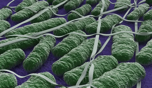 Under mikroskopet, salmonellabakterier — Stockfoto