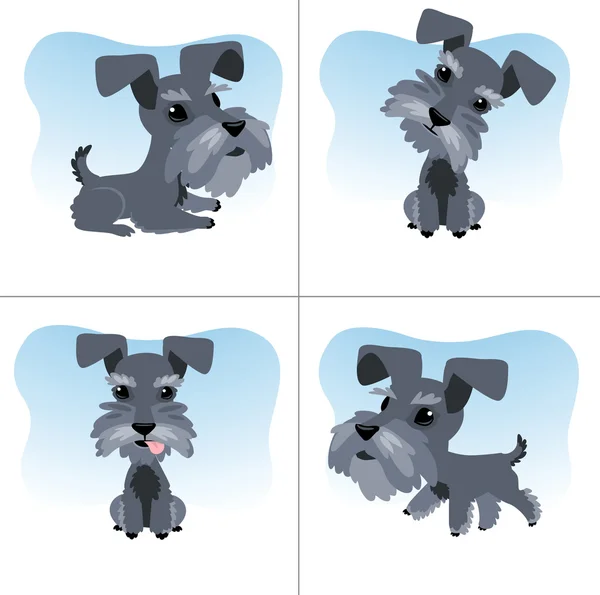 Set of little terrier — Stock Vector