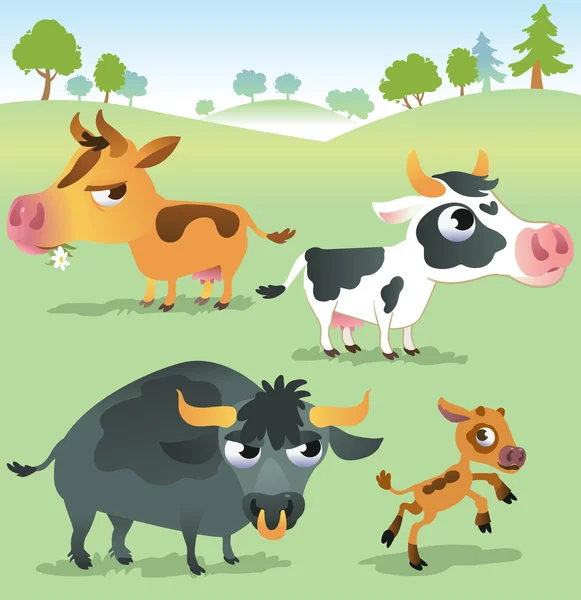Cartoon koe set: koeien, stier en kalf bull. — Stockvector
