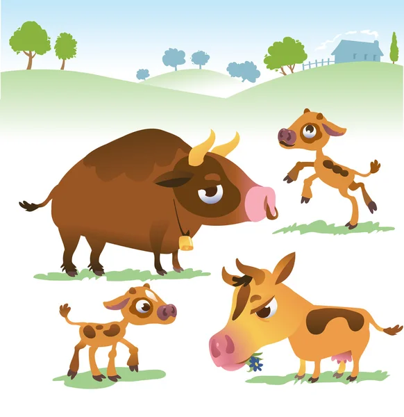 Conjunto de vacas dos desenhos animados: vacas, touro e bezerro . — Vetor de Stock