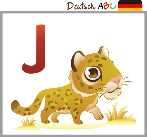 German or Deutsch Zoo Animals Alphabet for the kids: W for the W — Stockvector