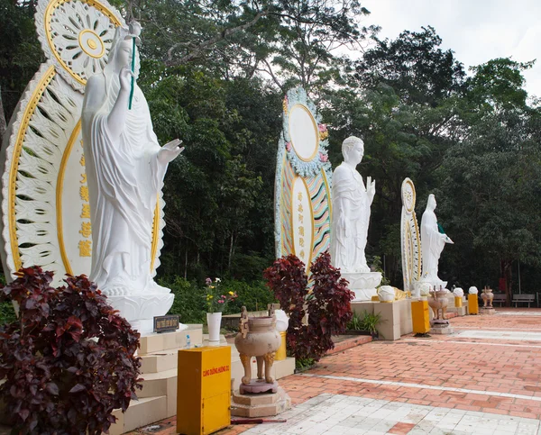 Buddah standbeelden in ta cu berg, vietnam. — Stockfoto