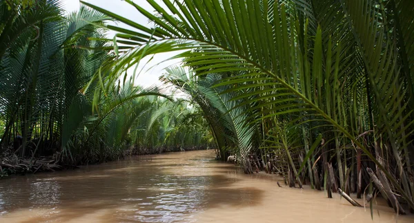 Delta del Mekong, Can Tho, Vietnam — Foto Stock