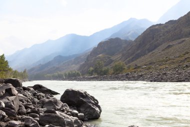 Dağ nehir Katun yaz, Altay, Rusya Federasyonu