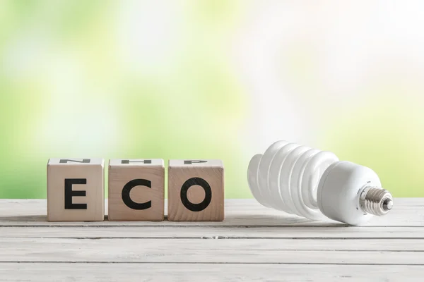 Big eco bulp on a wooden table — Stock Photo, Image