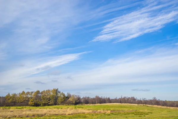 Dänische Landschaft mit Feldern und Bäumen — Stockfoto