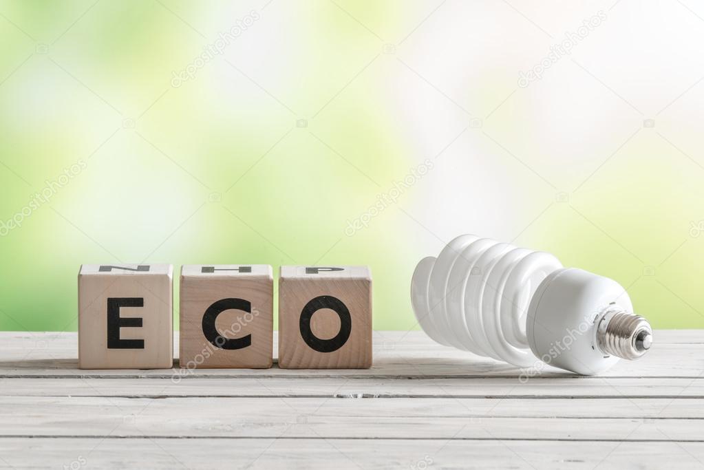 Big eco bulp on a wooden table
