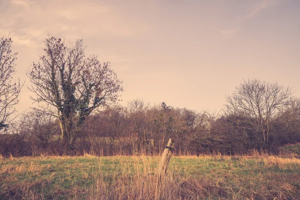 Campo con un vecchio recinto — Foto Stock