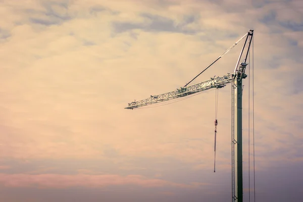 Crane in the sunrise — Stock Photo, Image