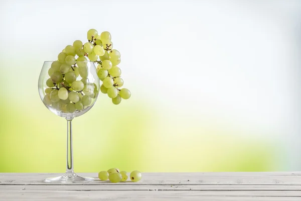 Uva in un bicchiere di vite — Foto Stock