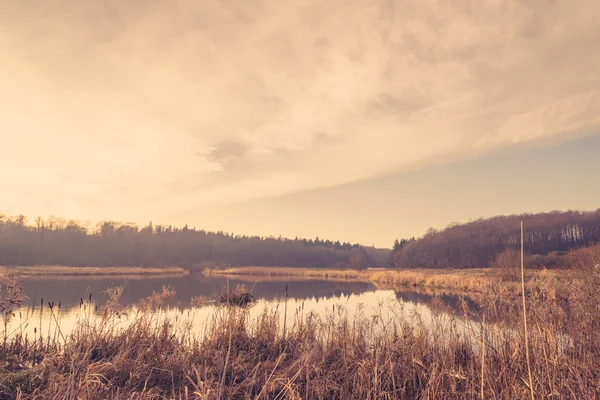 Lago tranquilo al amanecer — Foto de Stock