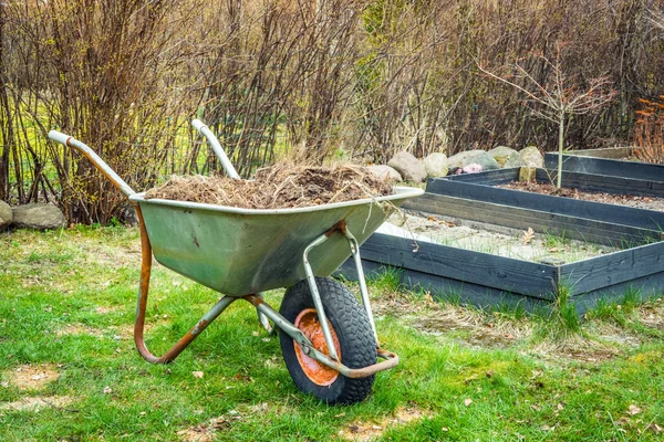 Wheelbarrow with garden waste — Stock Photo, Image