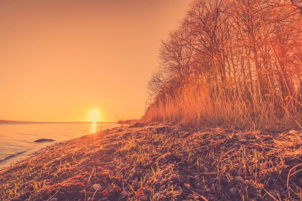 Manhã nascer do sol por um grande lago — Fotografia de Stock