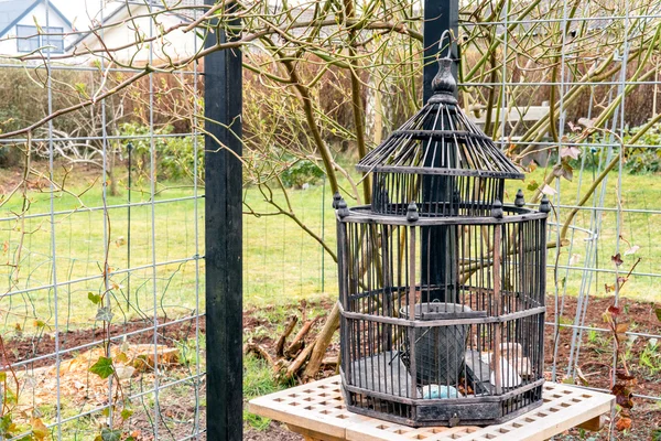 Gaiola de pássaro de madeira em um jardim — Fotografia de Stock