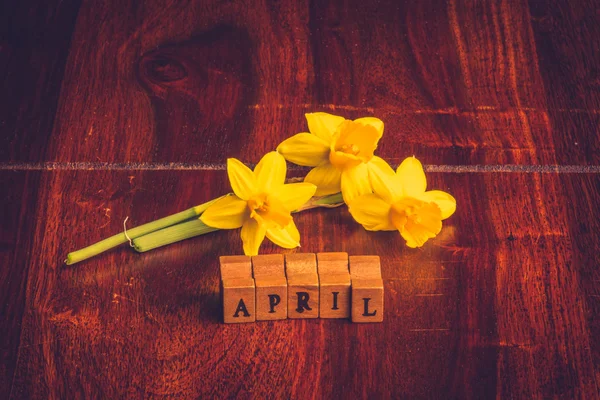 April bulan dengan daffodils kuning — Stok Foto